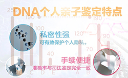 福州匿名亲子鉴定如何办理,福州个人亲子鉴定办理方法 福州匿名亲子鉴定如何办理,福州个人亲子鉴定办理方法