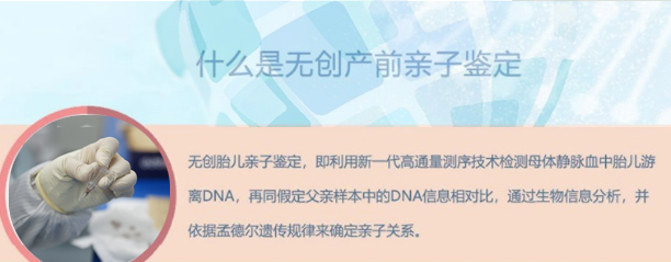 福州怀孕了如何办理DNA鉴定,福州办理孕期亲子鉴定办理流程 福州怀孕了如何办理DNA鉴定,福州办理孕期亲子鉴定办理流程
