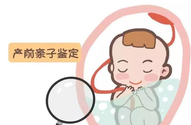 福州胎儿要如何办理亲子鉴定,福州无创孕期亲子鉴定多少费用